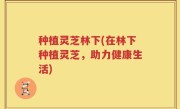 种植灵芝林下(在林下种植灵芝，助力健康生活)