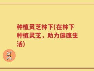 种植灵芝林下(在林下种植灵芝，助力健康生活)