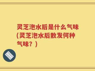 灵芝泡水后是什么气味(灵芝泡水后散发何种气味？)