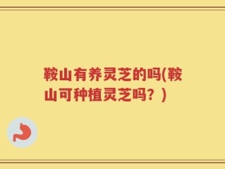 鞍山有养灵芝的吗(鞍山可种植灵芝吗？)