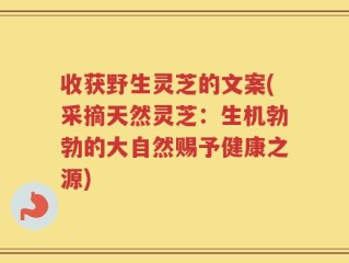 收获野生灵芝的文案(采摘天然灵芝：生机勃勃的大自然赐予健康之源)
