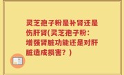 灵芝孢子粉是补肾还是伤肝肾(灵芝孢子粉:增强肾脏功能还是对肝脏造成损害?)