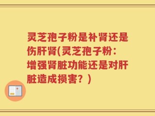 灵芝孢子粉是补肾还是伤肝肾(灵芝孢子粉：增强肾脏功能还是对肝脏造成损害？)