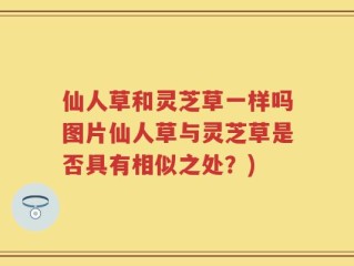 仙人草和灵芝草一样吗图片仙人草与灵芝草是否具有相似之处？)