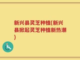 新兴县灵芝种植(新兴县掀起灵芝种植新热潮)