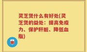 灵芝煲什么有好处(灵芝煲的益处：提高免疫力、保护肝脏、降低血脂)