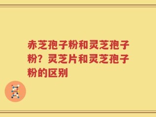 赤芝孢子粉和灵芝孢子粉？灵芝片和灵芝孢子粉的区别