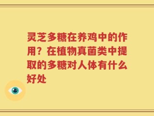 灵芝多糖在养鸡中的作用？在植物真菌类中提取的多糖对人体有什么好处
