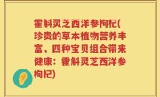 霍斛灵芝西洋参枸杞(珍贵的草本植物营养丰富，四种宝贝组合带来健康：霍斛灵芝西洋参枸杞)