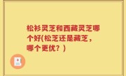 松衫灵芝和西藏灵芝哪个好(松芝还是藏芝，哪个更优？)
