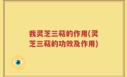我灵芝三萜的作用(灵芝三萜的功效及作用)