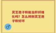 灵芝孢子粉能治肝纤维化吗？怎么辨别灵芝孢子粉好坏