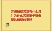 苏州破壁灵芝有什么用?为什么灵芝孢子粉去壁比破壁的更好