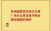 苏州破壁灵芝有什么用？为什么灵芝孢子粉去壁比破壁的更好