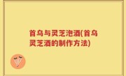 首乌与灵芝泡酒(首乌灵芝酒的制作方法)
