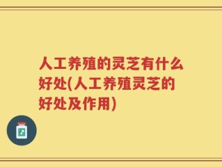 人工养殖的灵芝有什么好处(人工养殖灵芝的好处及作用)