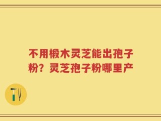 不用椴木灵芝能出孢子粉？灵芝孢子粉哪里产