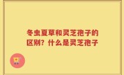 冬虫夏草和灵芝孢子的区别？什么是灵芝孢子