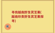 寻找越南野生灵芝果(越南珍贵野生灵芝果探寻)