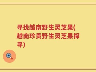 寻找越南野生灵芝果(越南珍贵野生灵芝果探寻)