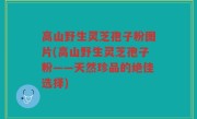 高山野生灵芝孢子粉图片(高山野生灵芝孢子粉——天然珍品的绝佳选择)