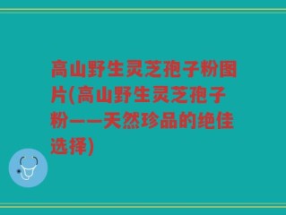 高山野生灵芝孢子粉图片(高山野生灵芝孢子粉——天然珍品的绝佳选择)