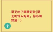 灵芝吃了哪些好处(灵芝的惊人好处，你必须知道！)