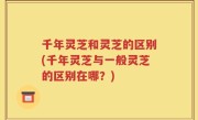 千年灵芝和灵芝的区别(千年灵芝与一般灵芝的区别在哪？)