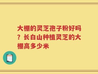 大棚的灵芝孢子粉好吗？长白山种植灵芝的大棚高多少米