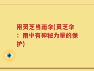 用灵芝当雨伞(灵芝伞：雨中有神秘力量的保护)