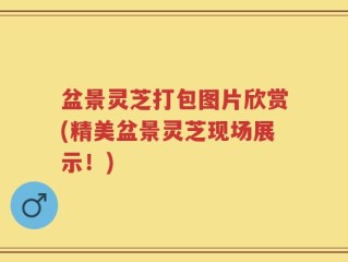 盆景灵芝打包图片欣赏(精美盆景灵芝现场展示！)