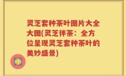 灵芝套种茶叶图片大全大图(灵芝伴茶：全方位呈现灵芝套种茶叶的美妙盛景)