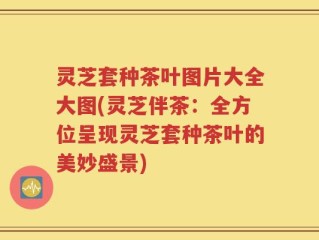 灵芝套种茶叶图片大全大图(灵芝伴茶：全方位呈现灵芝套种茶叶的美妙盛景)