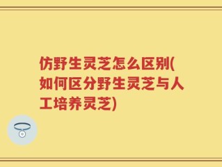 仿野生灵芝怎么区别(如何区分野生灵芝与人工培养灵芝)