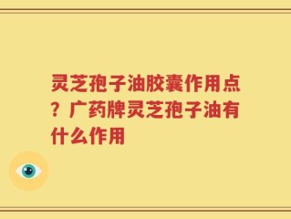 灵芝孢子油胶囊作用点？广药牌灵芝孢子油有什么作用