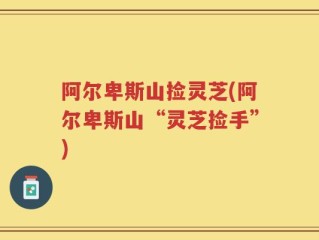 阿尔卑斯山捡灵芝(阿尔卑斯山“灵芝捡手”)