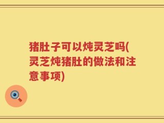 猪肚子可以炖灵芝吗(灵芝炖猪肚的做法和注意事项)
