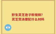 野生灵芝孢子粉视频？灵芝煲汤要配什么材料