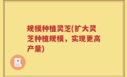 规模种植灵芝(扩大灵芝种植规模，实现更高产量)
