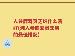 人参鹿茸灵芝炖什么汤好(炖人参鹿茸灵芝汤的最佳搭配)