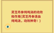灵芝丹参炖鸡汤的功效和作用(灵芝丹参清血炖鸡汤，功效神奇！)