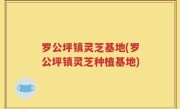 罗公坪镇灵芝基地(罗公坪镇灵芝种植基地)