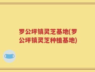 罗公坪镇灵芝基地(罗公坪镇灵芝种植基地)