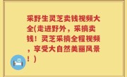 采野生灵芝卖钱视频大全(走进野外，采摘卖钱！灵芝采摘全程视频，享受大自然美丽风景！)