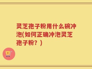 灵芝孢子粉用什么碗冲泡(如何正确冲泡灵芝孢子粉？)