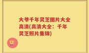 大爷千年灵芝图片大全高清(高清大全：千年灵芝照片集锦)