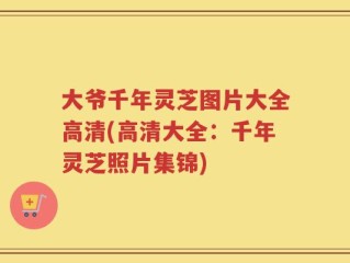 大爷千年灵芝图片大全高清(高清大全：千年灵芝照片集锦)