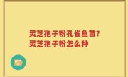 灵芝孢子粉孔雀鱼苗？灵芝孢子粉怎么种