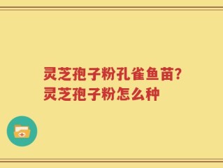 灵芝孢子粉孔雀鱼苗？灵芝孢子粉怎么种