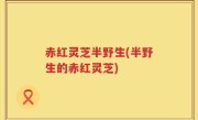 赤红灵芝半野生(半野生的赤红灵芝)